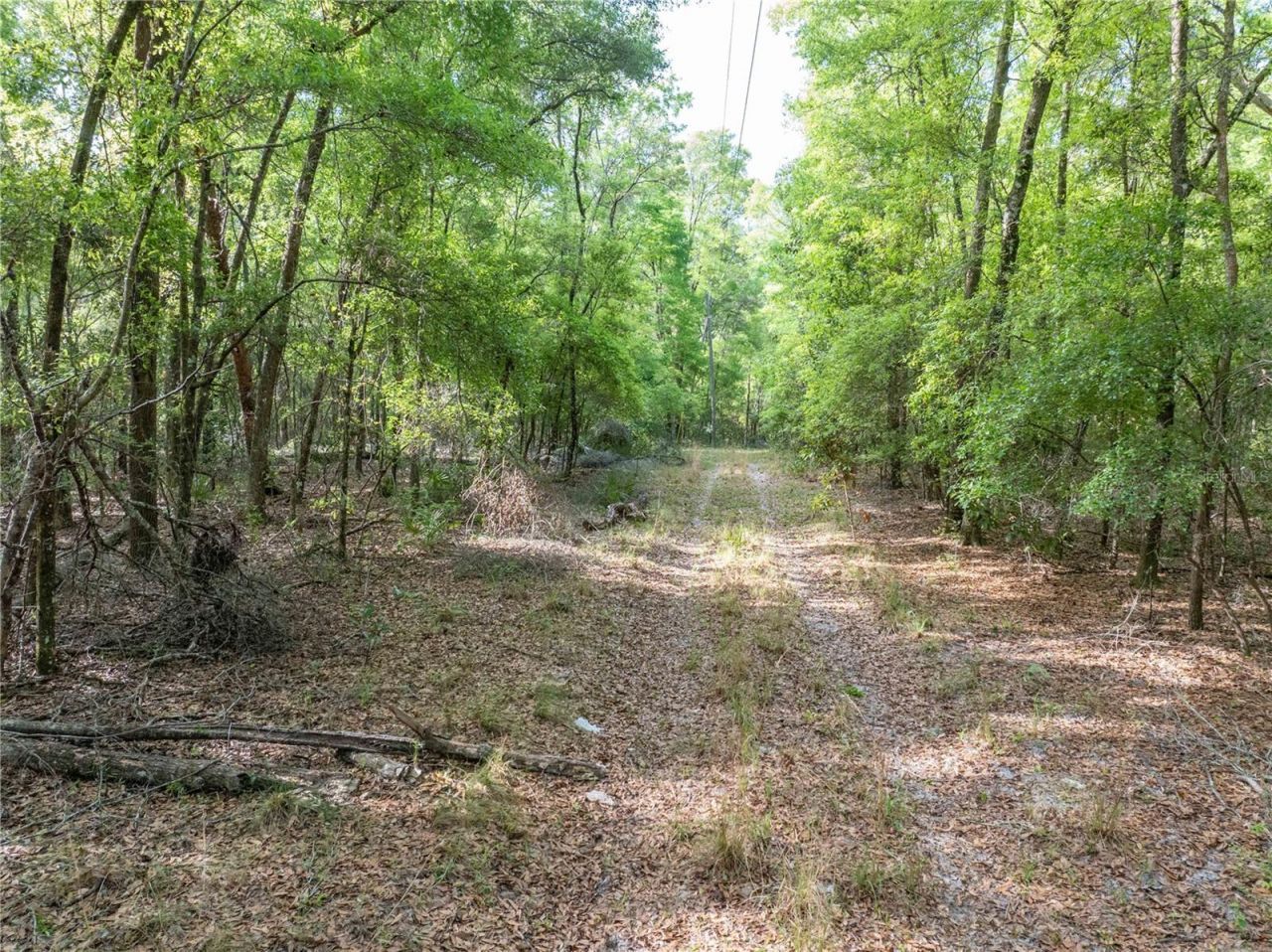 290 SW Rattlesnake Glen, Fort White, FL 32038 Photo