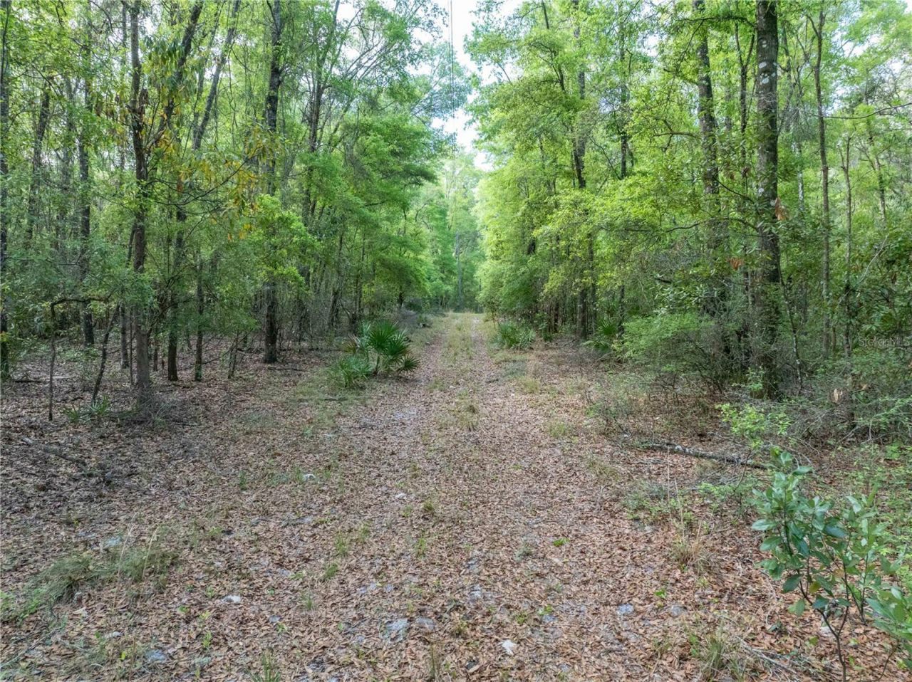290 SW Rattlesnake Glen, Fort White, FL 32038 Photo