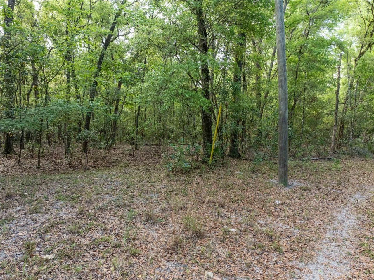 290 SW Rattlesnake Glen, Fort White, FL 32038 Photo