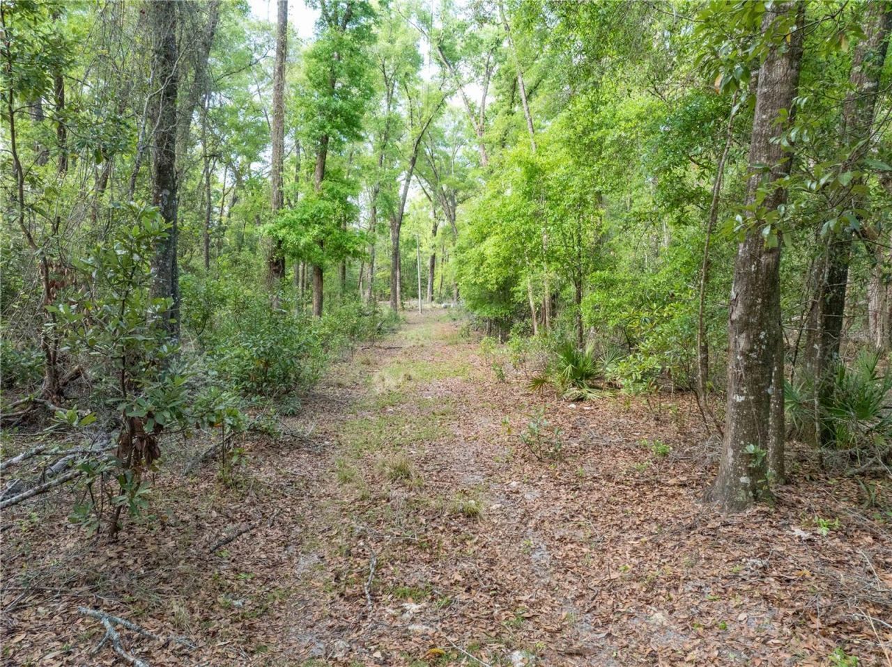 290 SW Rattlesnake Glen, Fort White, FL 32038 Photo