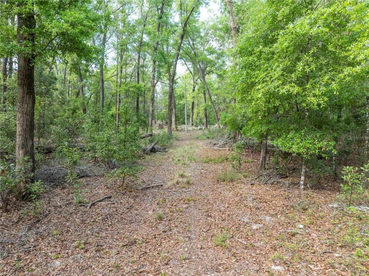 290 SW Rattlesnake Glen, Fort White, FL 32038 Photo