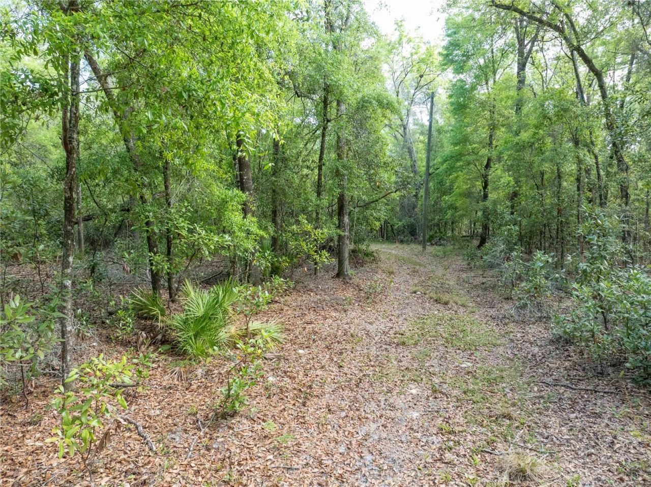 290 SW Rattlesnake Glen, Fort White, FL 32038 Photo