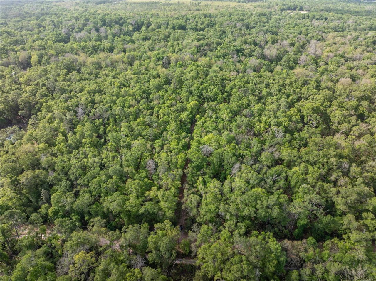 290 SW Rattlesnake Glen, Fort White, FL 32038 Photo