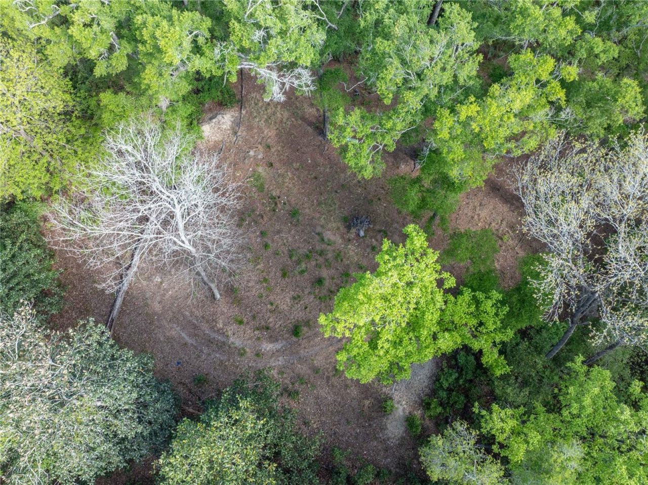 290 SW Rattlesnake Glen, Fort White, FL 32038 Photo