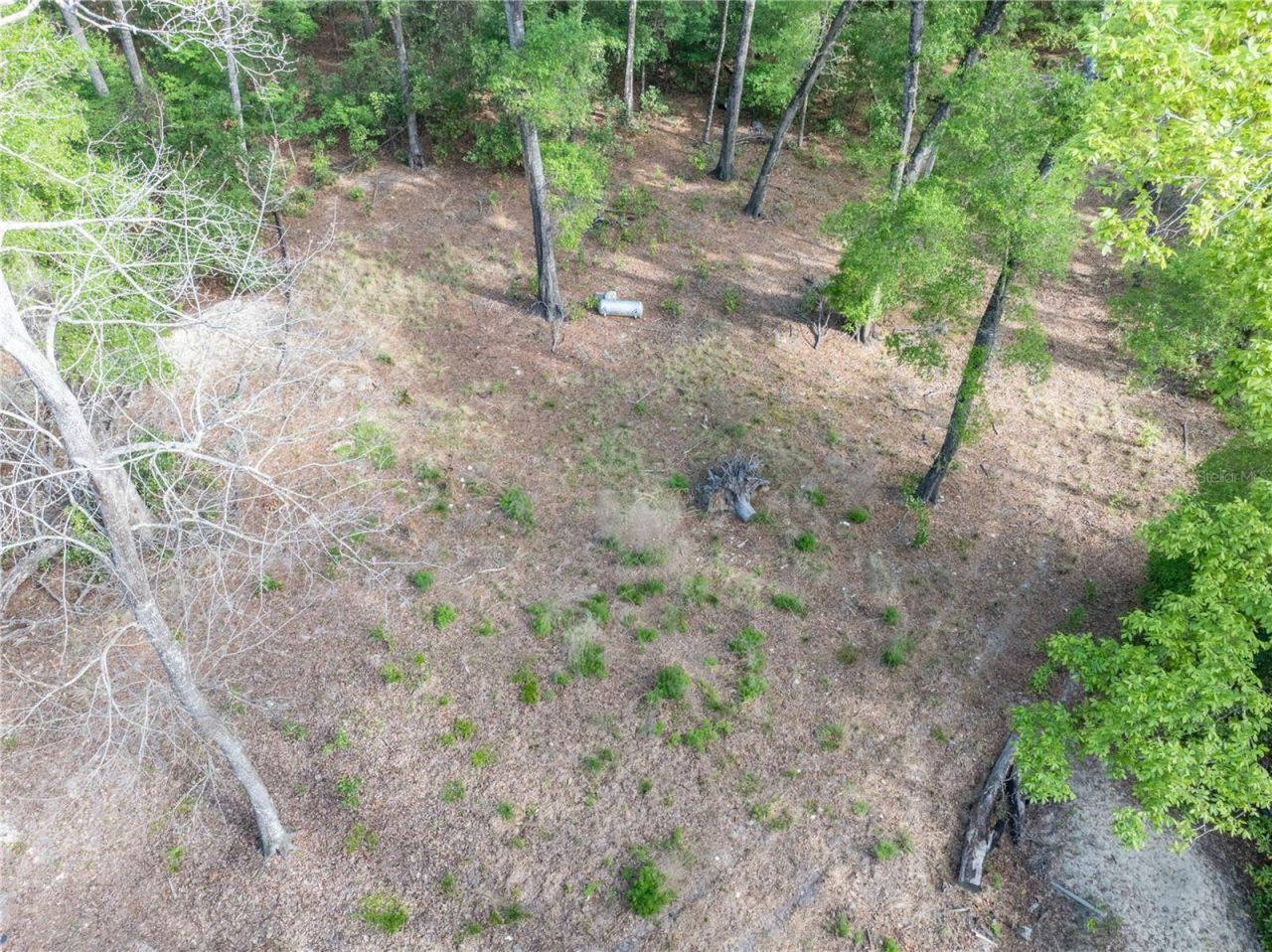 290 SW Rattlesnake Glen, Fort White, FL 32038 Photo
