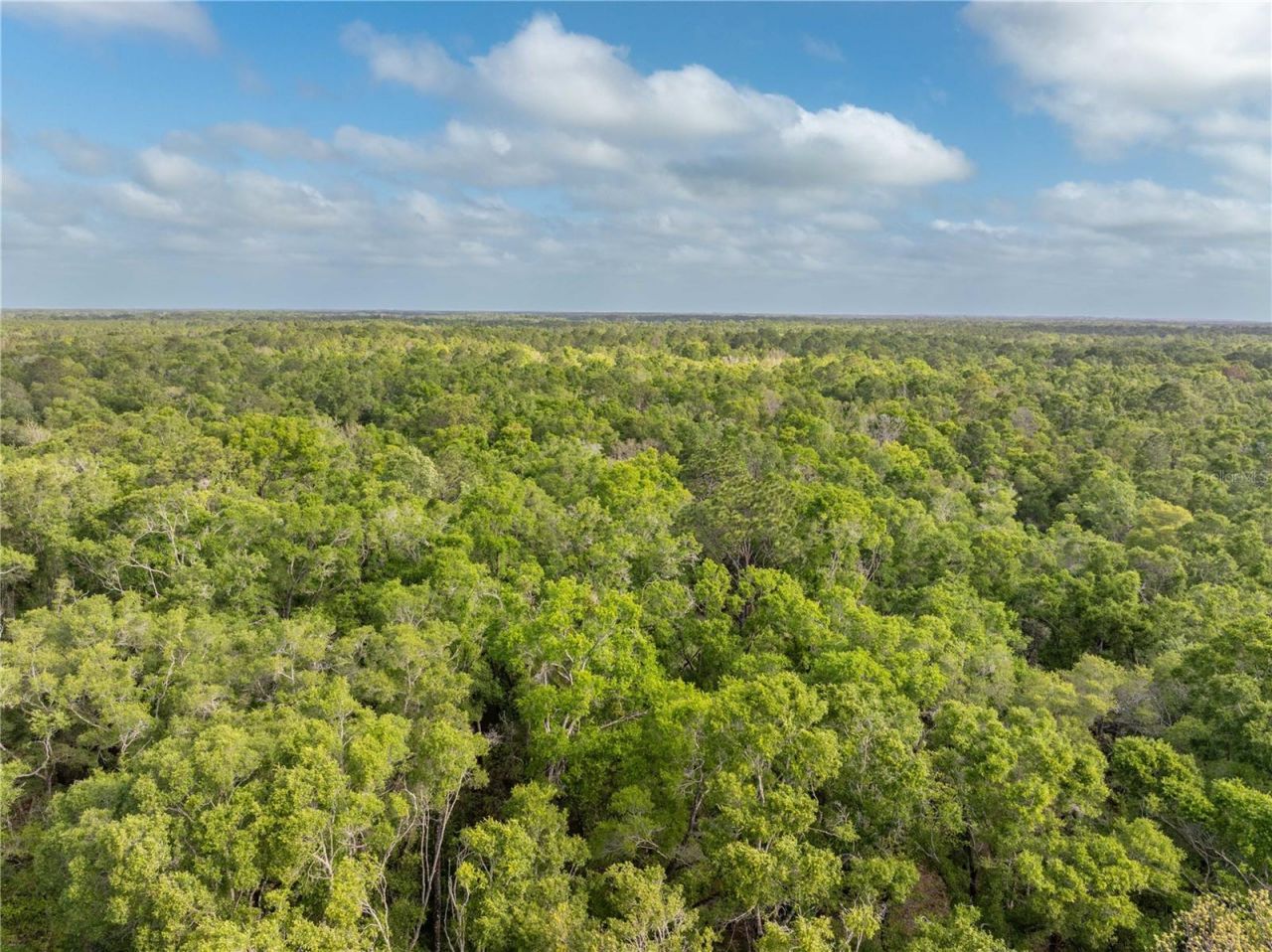 290 SW Rattlesnake Glen, Fort White, FL 32038 Photo