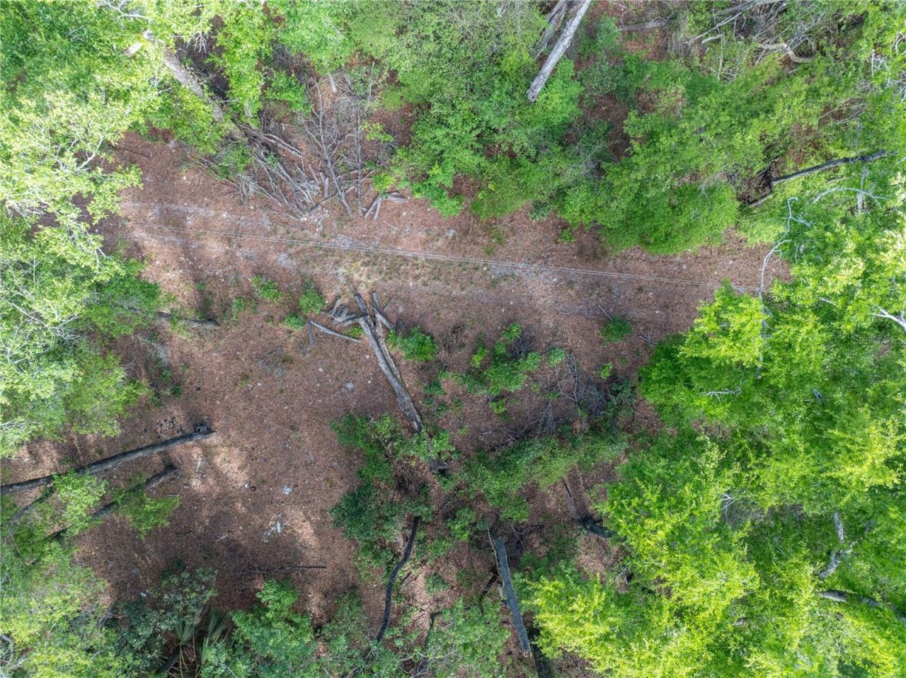 290 SW Rattlesnake Glen, Fort White, FL 32038 Photo