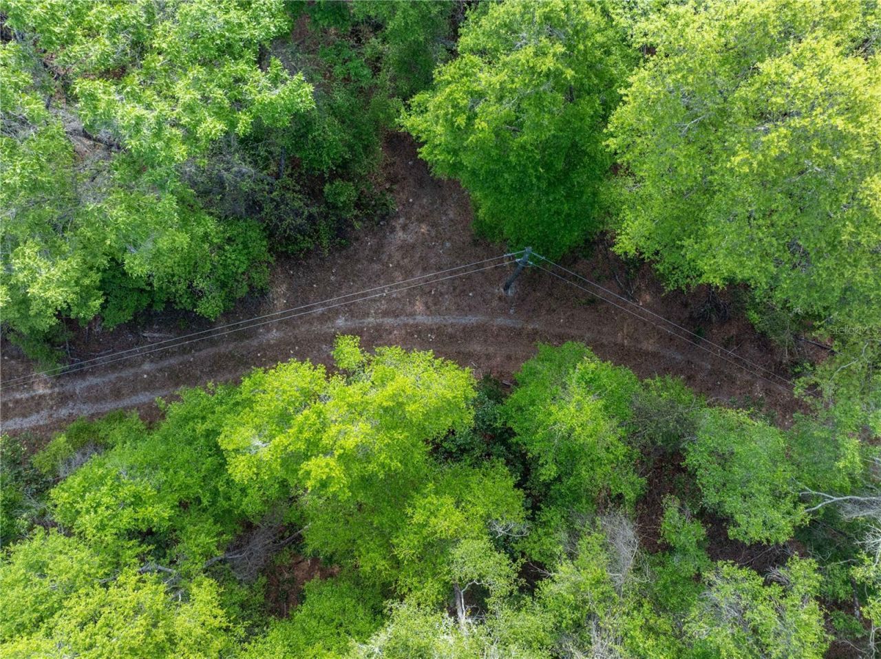 290 SW Rattlesnake Glen, Fort White, FL 32038 Photo