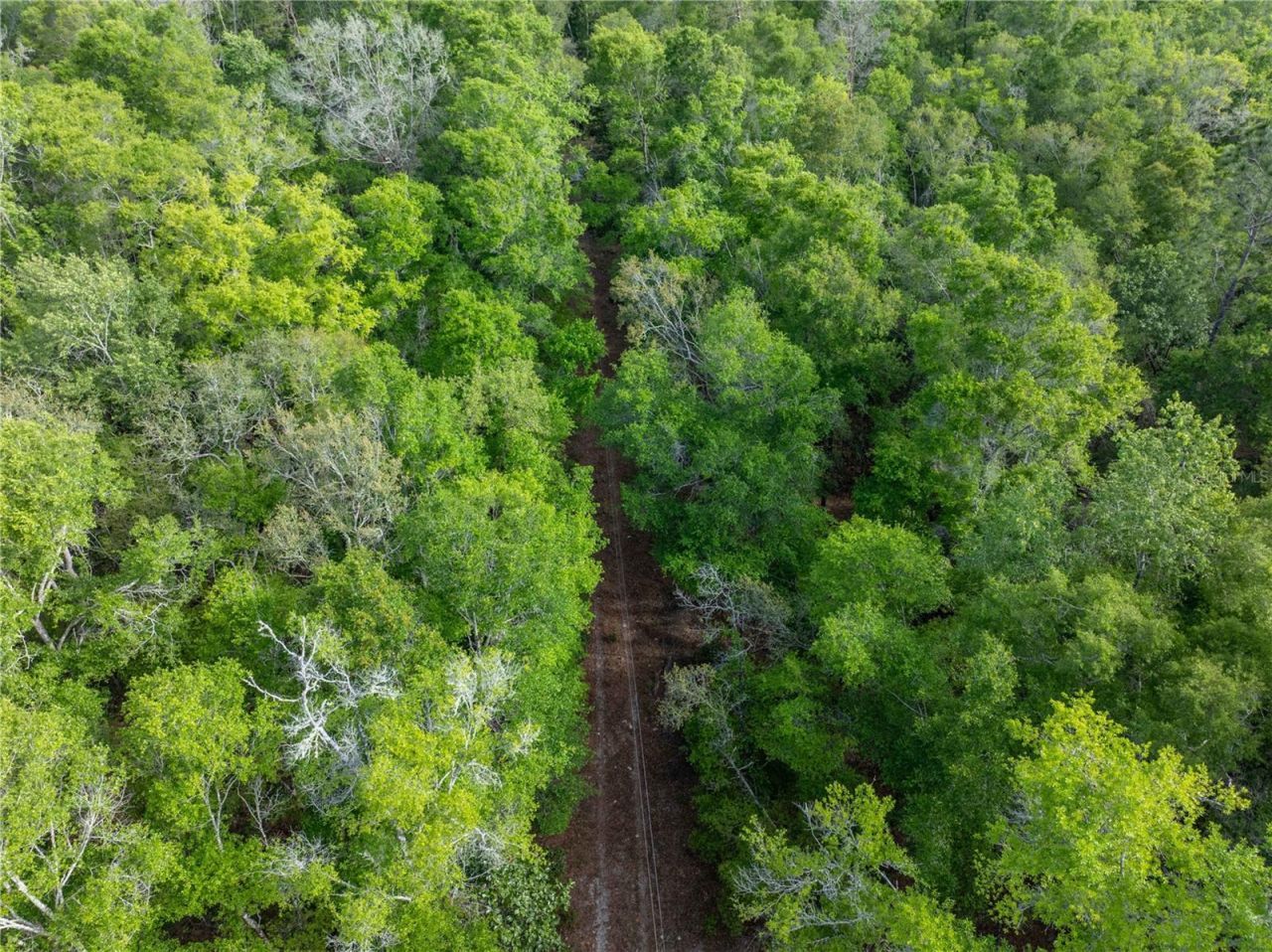 290 SW Rattlesnake Glen, Fort White, FL 32038 Photo