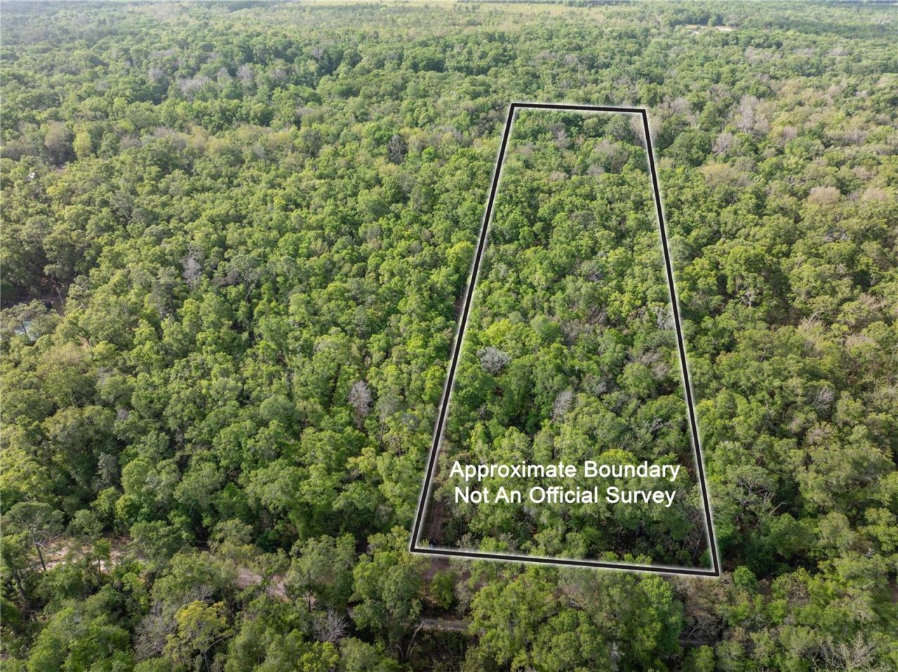 290 SW Rattlesnake Glen, Fort White, FL 32038 Photo