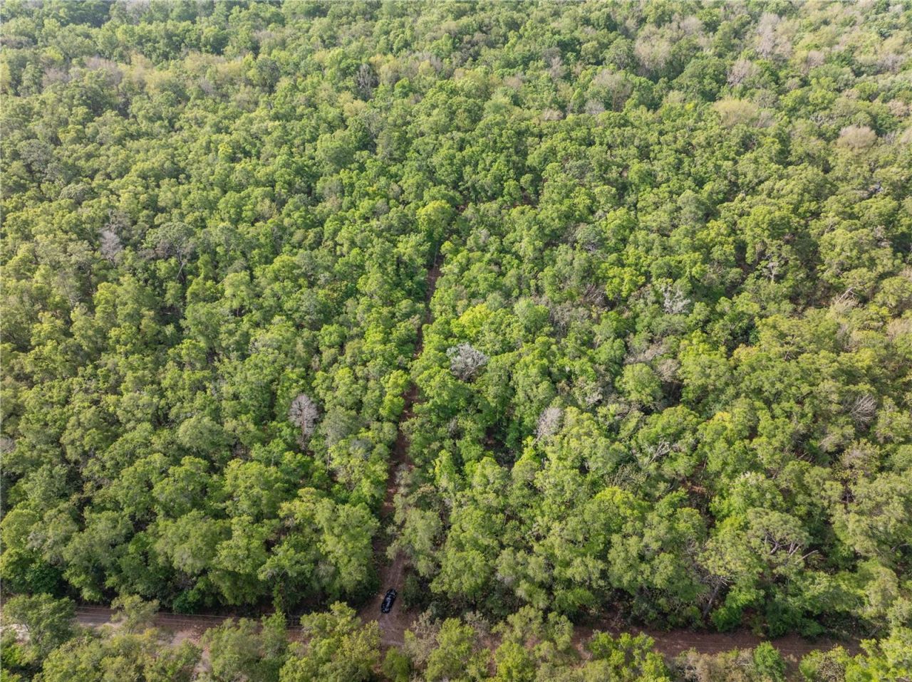 290 SW Rattlesnake Glen, Fort White, FL 32038 Photo