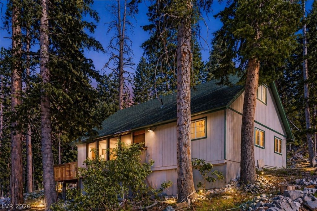 525 Snow Fall Trail, Mount Charleston, NV 89124 Main Photo