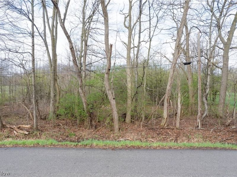 Dutt Road , Norton, OH 44203 Photo 2