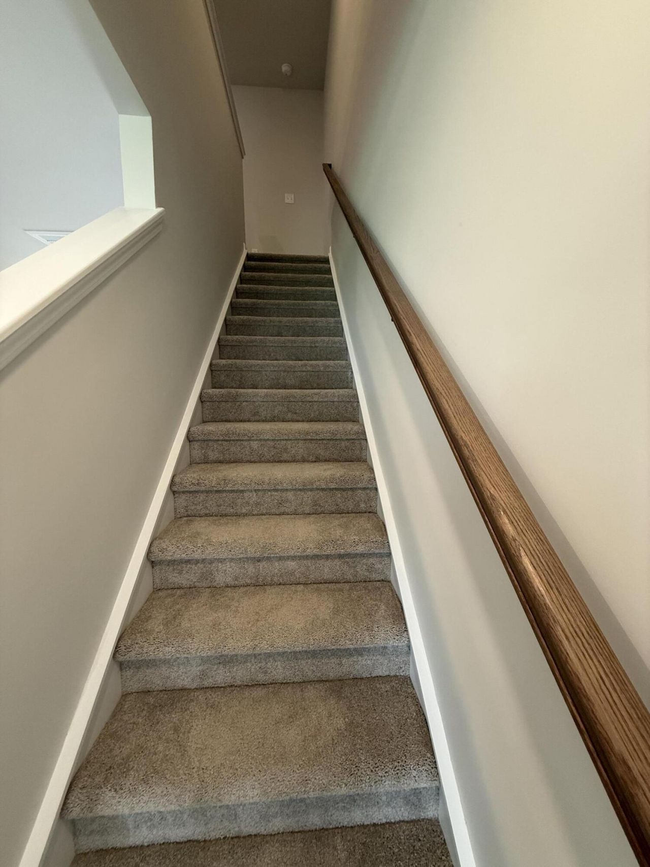 8011 Triggerfish Way Photo 6