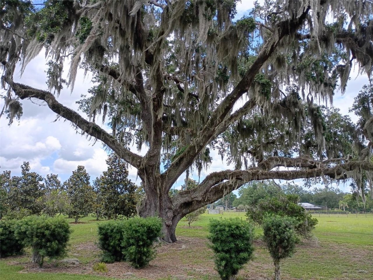 1403 Blackwelder Road , De Leon Springs, FL 32130 Photo