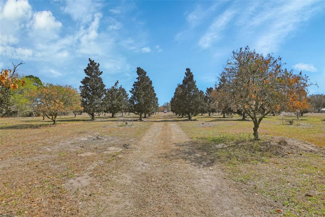 1403 Blackwelder Road , De Leon Springs, FL 32130 Photo