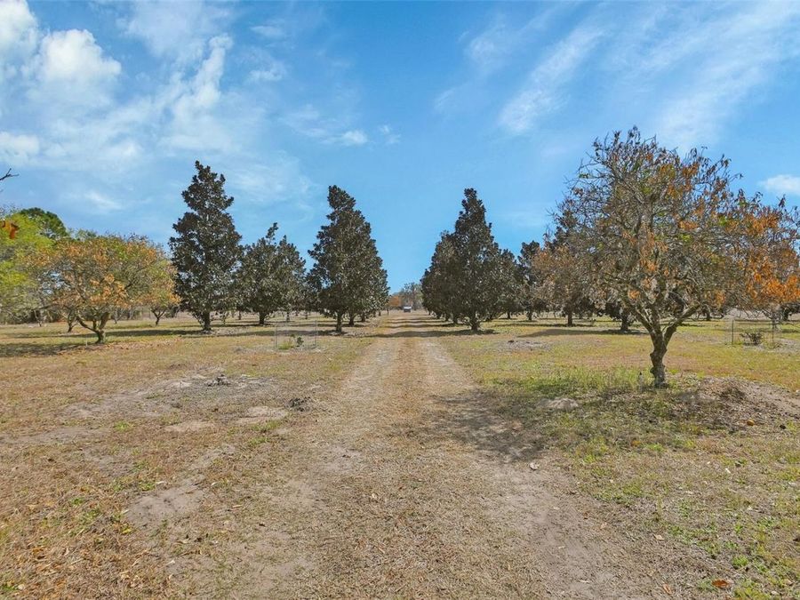 Property Image 52