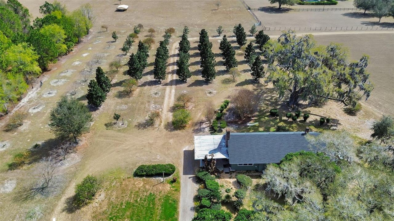 1403 Blackwelder Road , De Leon Springs, FL 32130 Photo