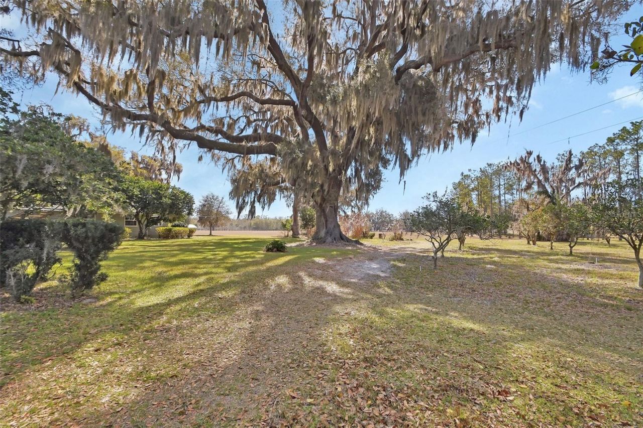 1403 Blackwelder Road , De Leon Springs, FL 32130 Photo