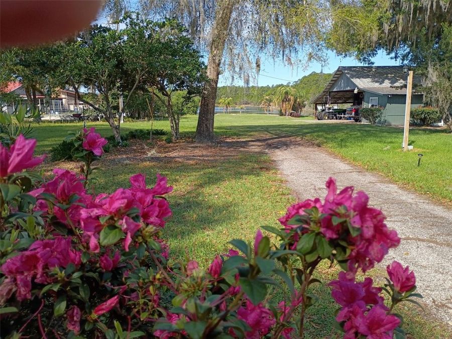 Property Image 83