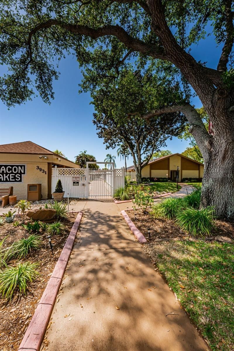 3815 Penrick Drive , New Port Richey, FL 34652 Photo