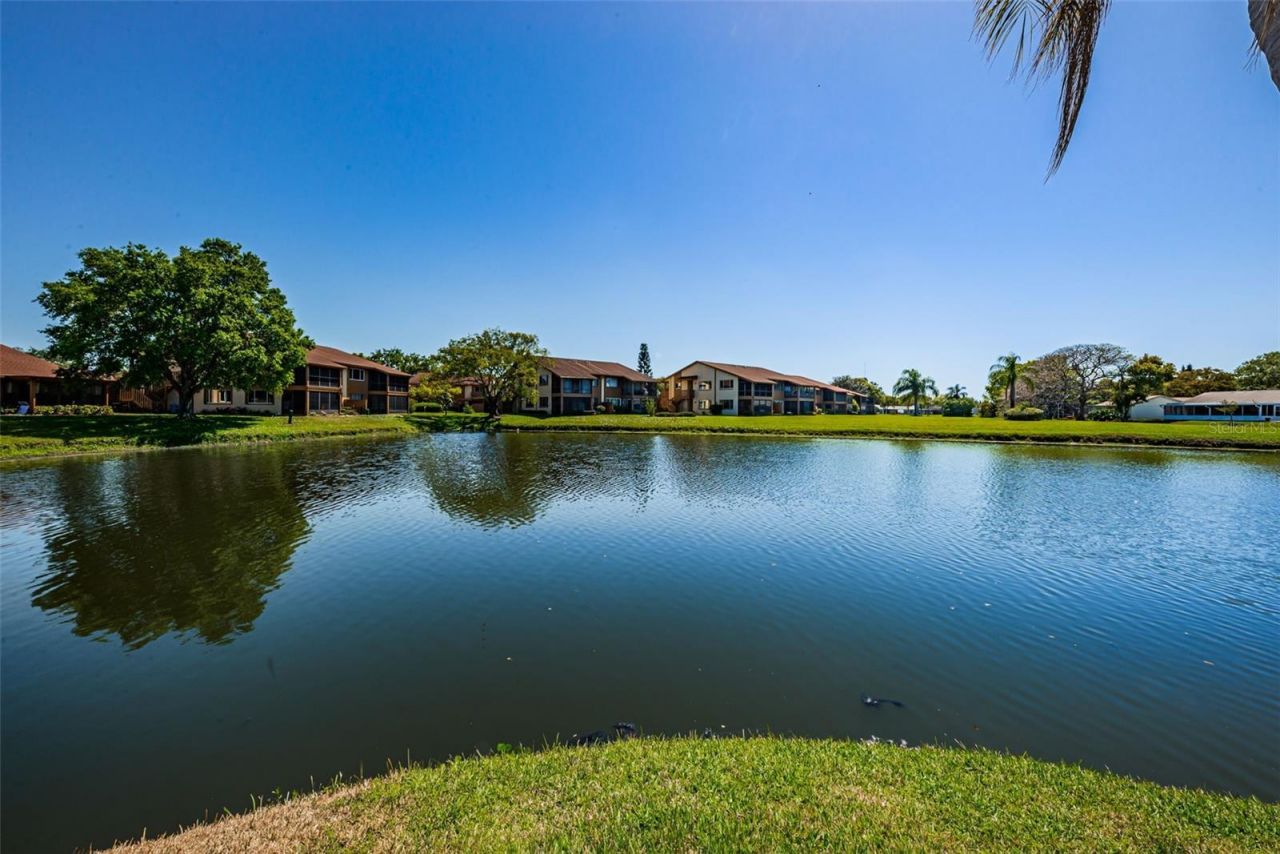 3815 Penrick Drive , New Port Richey, FL 34652 Photo