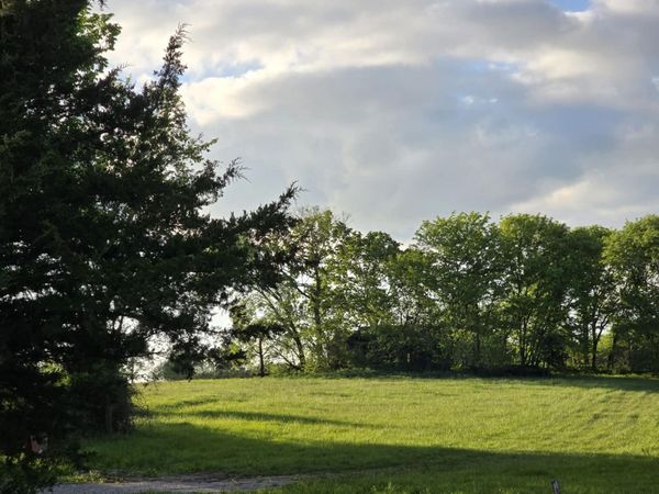 Tbd 501 Rd 80+/- Acres , Clinton, MO 64735