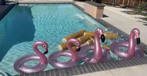 5180 S Edmonds Drive, Carson City, NV 89701 Photo