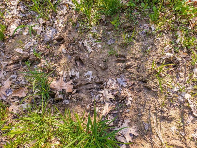 580 Brandi Lane, Peebles, OH 45660 Photo 11