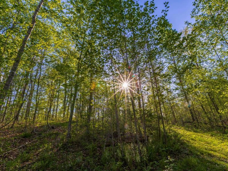 580 Brandi Lane, Peebles, OH 45660 Photo 13