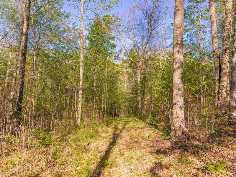 580 Brandi Lane, Peebles, OH 45660 Photo 14