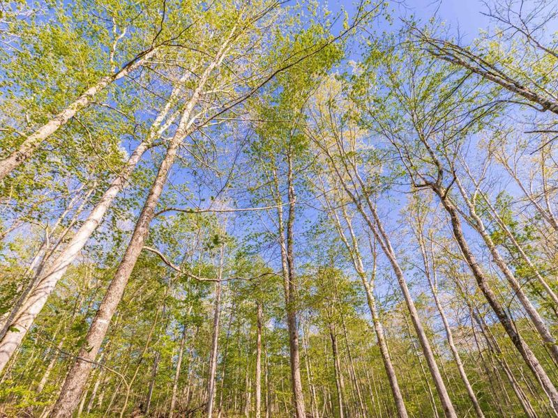 580 Brandi Lane, Peebles, OH 45660 Photo 17