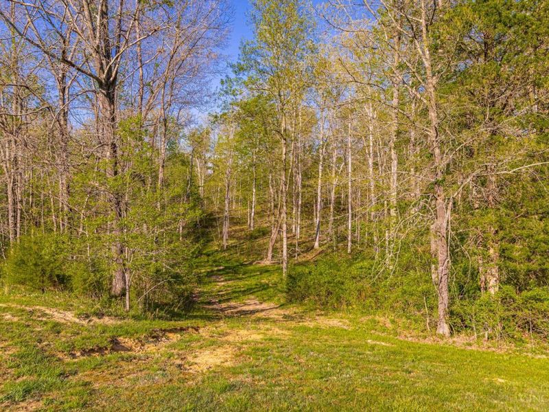 580 Brandi Lane, Peebles, OH 45660 Photo 18