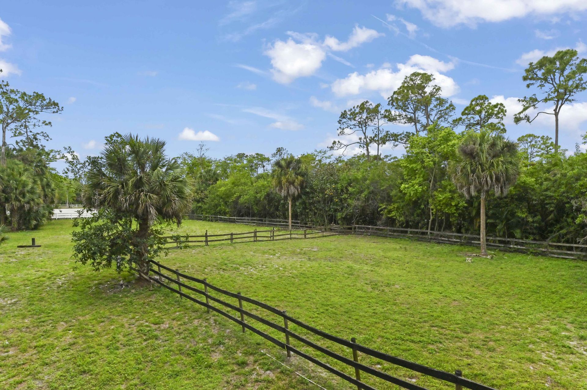 1339 Gallop Drive, Loxahatchee, FL 33470 Photo