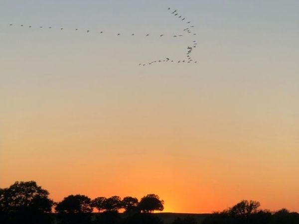 3 Shady Grove , Bennington, OK 74723