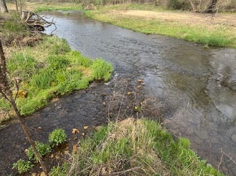 Main Photo