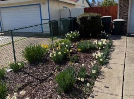 3916 Bairnsdale Way, Sacramento, CA 95826 Photo