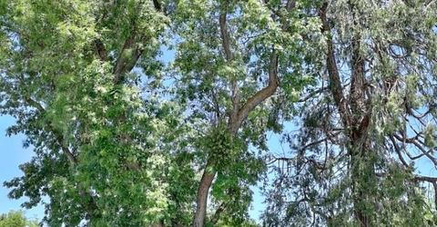 1405 Teresa St, Modesto, CA 95350 Photo