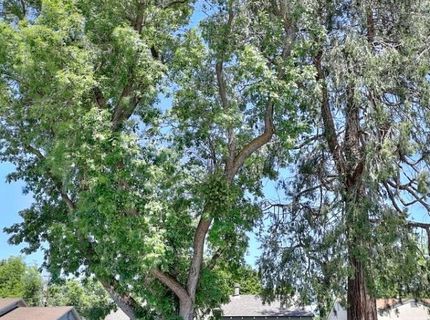 1405 Teresa St, Modesto, CA 95350 Photo