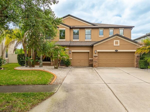 11511 PALMETTO PINE STREET , RIVERVIEW, FL 33569