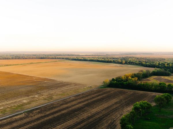 1229 TAR HILL RD, Dyersburg, TN 38024