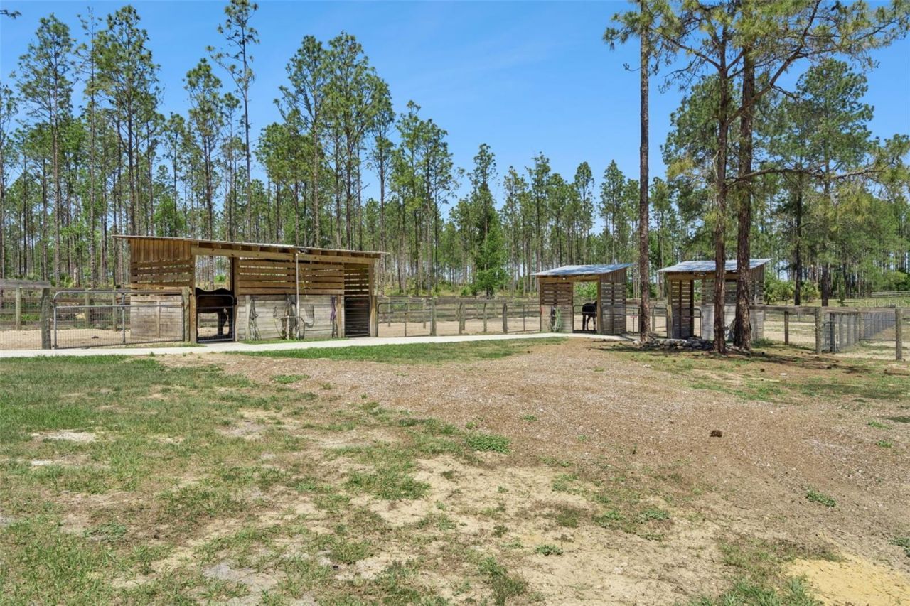 20701 County Road 44a , Eustis, FL 32736 Photo