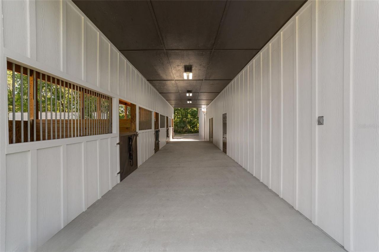 20005 NW 135th Avenue, Micanopy, FL 32667 Photo