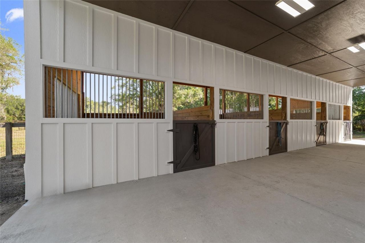 20005 NW 135th Avenue, Micanopy, FL 32667 Photo