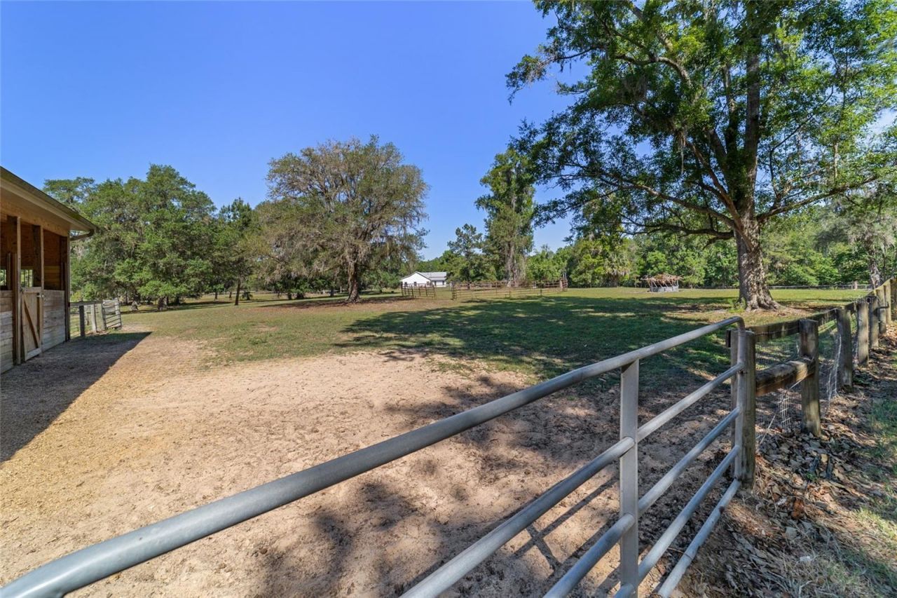 20005 NW 135th Avenue, Micanopy, FL 32667 Photo