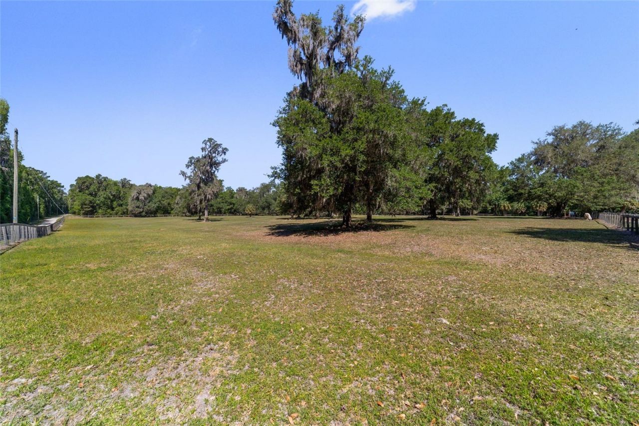 20005 NW 135th Avenue, Micanopy, FL 32667 Photo