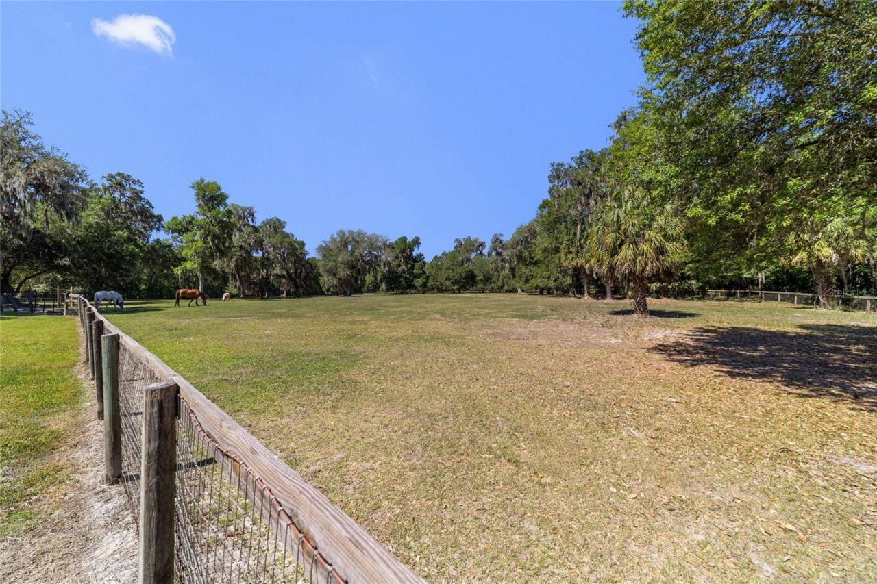 20005 NW 135th Avenue, Micanopy, FL 32667 Photo