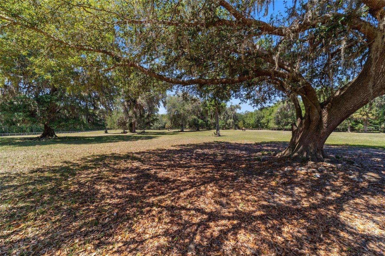 20005 NW 135th Avenue, Micanopy, FL 32667 Photo