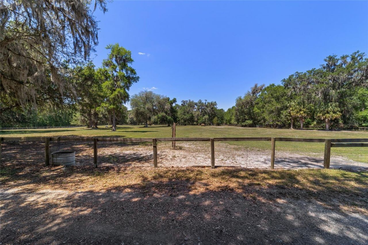 20005 NW 135th Avenue, Micanopy, FL 32667 Photo