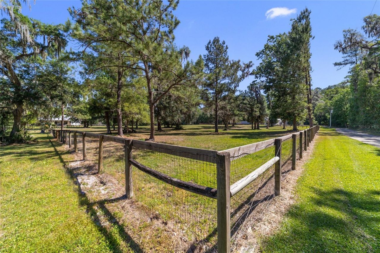 20005 NW 135th Avenue, Micanopy, FL 32667 Photo